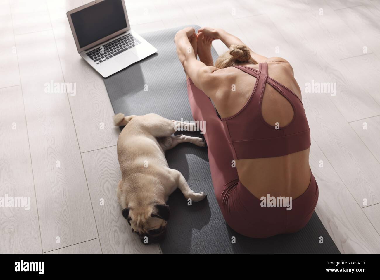 Donna con cane che segue una lezione di yoga online a casa, sopra la vista Foto Stock