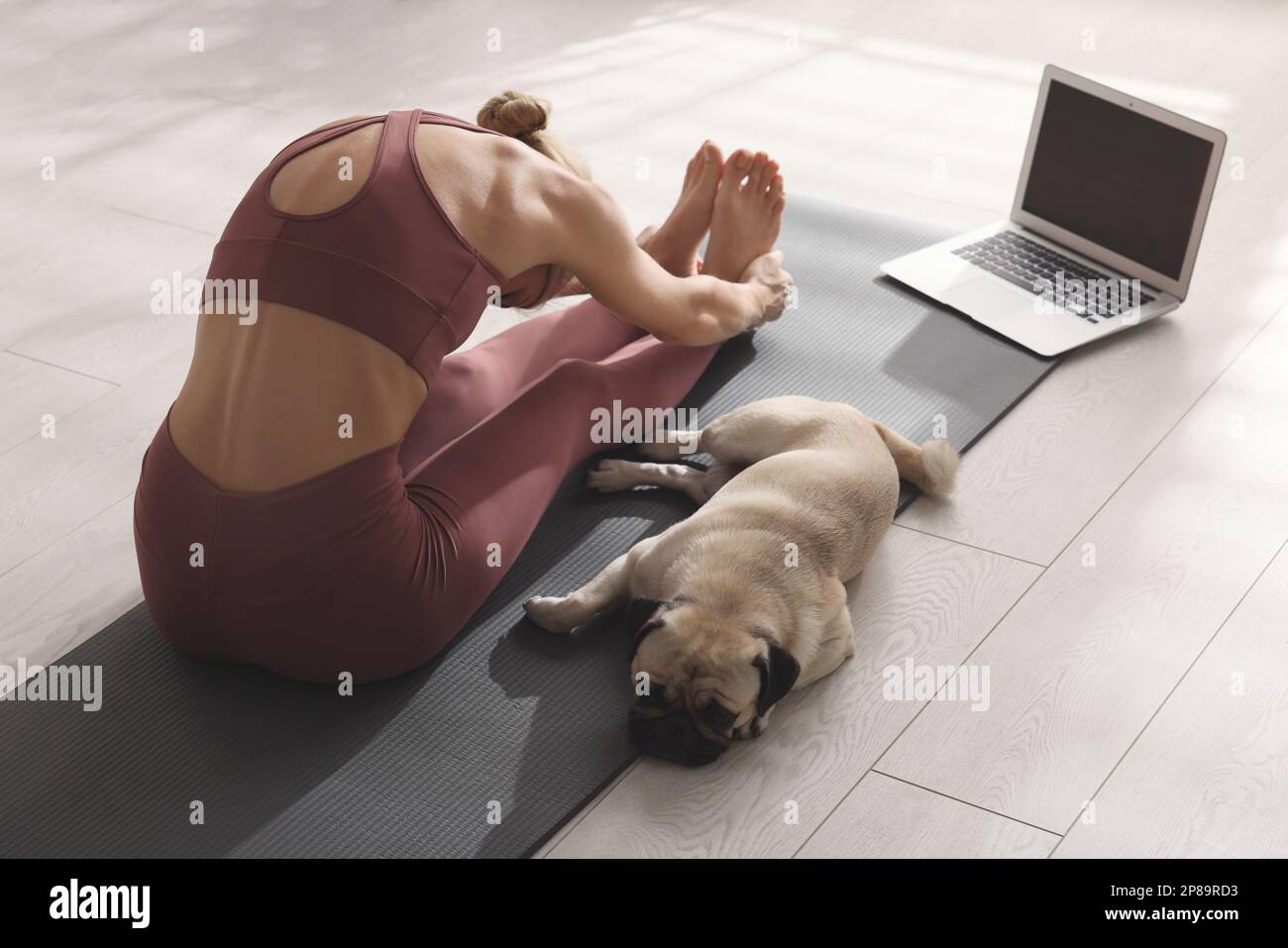 Donna con il cane che segue la lezione di yoga in linea a casa, vista posteriore Foto Stock