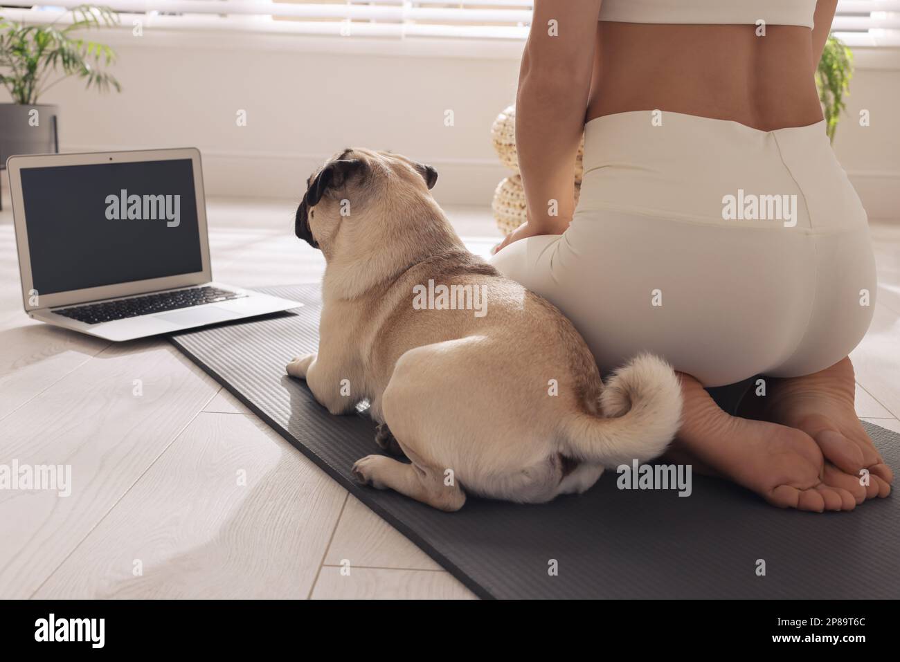 Donna con cane che guarda in linea yoga classe a casa, primo piano Foto Stock