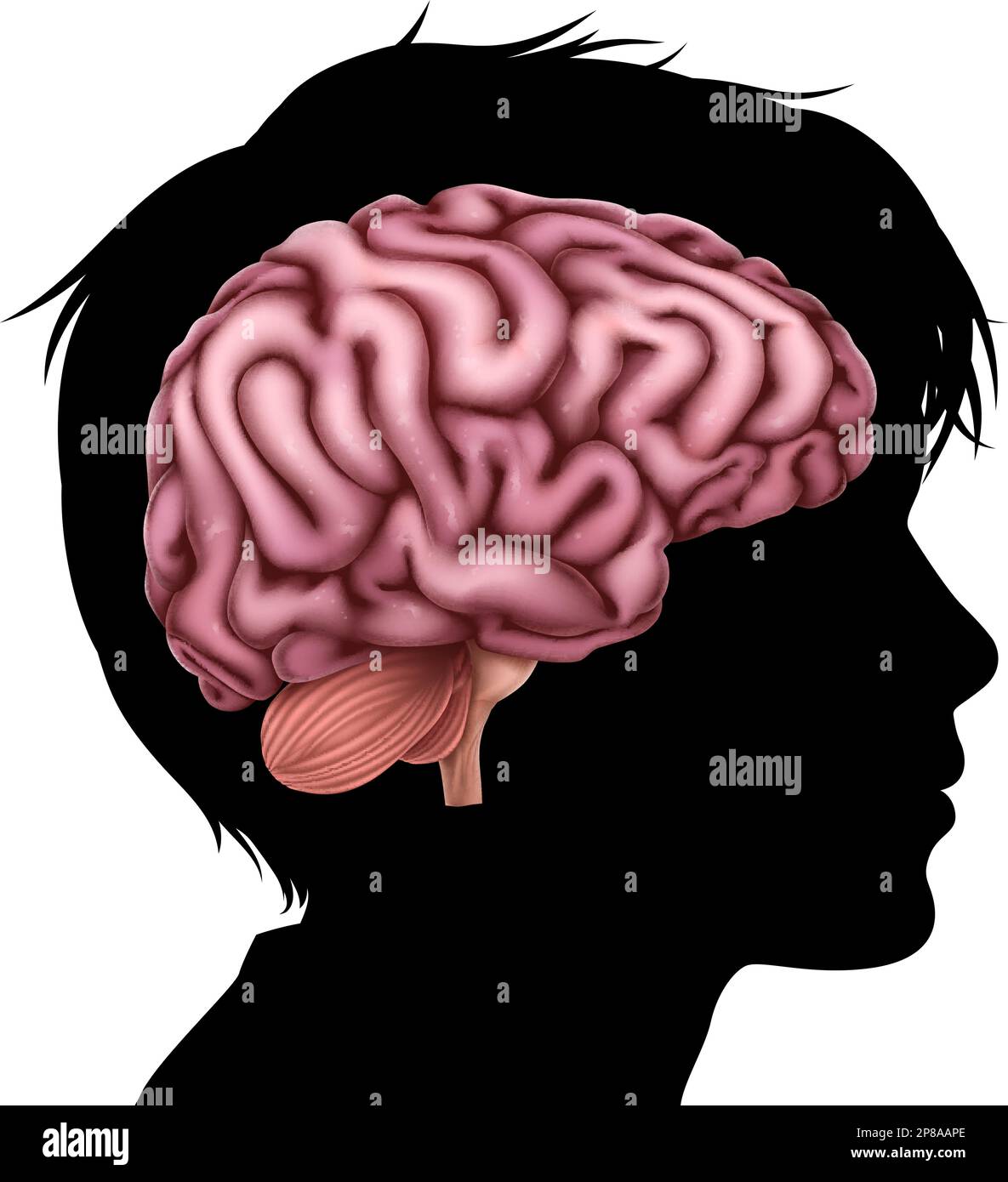 Testa di capretto del bambino in profilo di silhouette con cervello Illustrazione Vettoriale