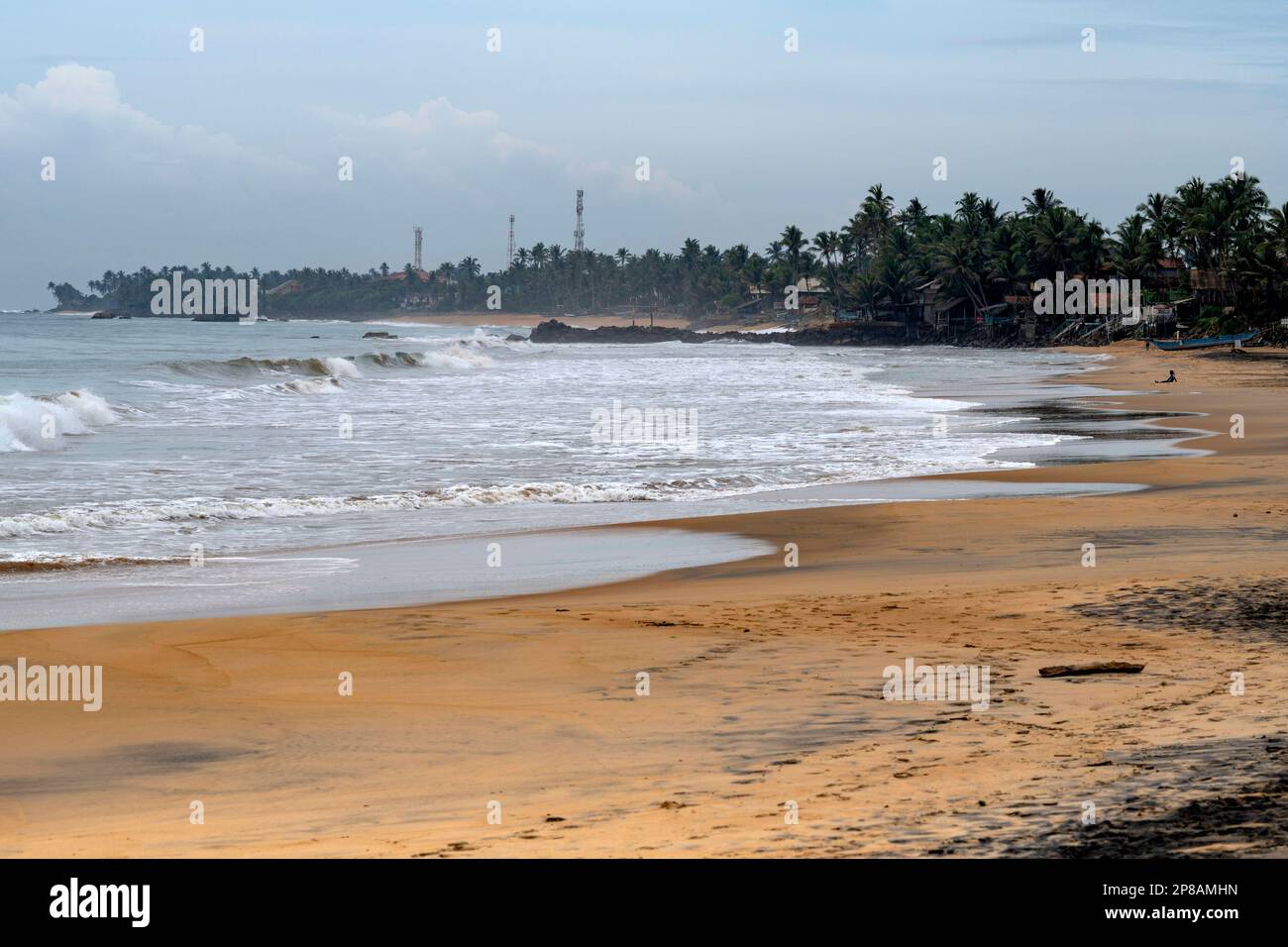 Sri Lanka, Provincia meridionale, Sud, Süd, Sud, océan, Ozean, oceano, plage, Strand, spiaggia, palmier, palmiers, Palme, Palmen, palme, palme Foto Stock