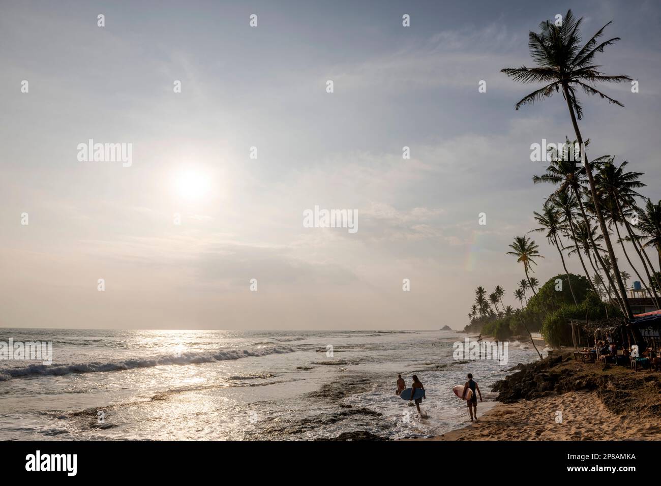 Sri Lanka, Provincia meridionale, Sud, Süd, Sud, océan, Ozean, oceano, palmier, palmiers, Palme, Palmen, palma, palme, surf, Surf, sport, sport Foto Stock