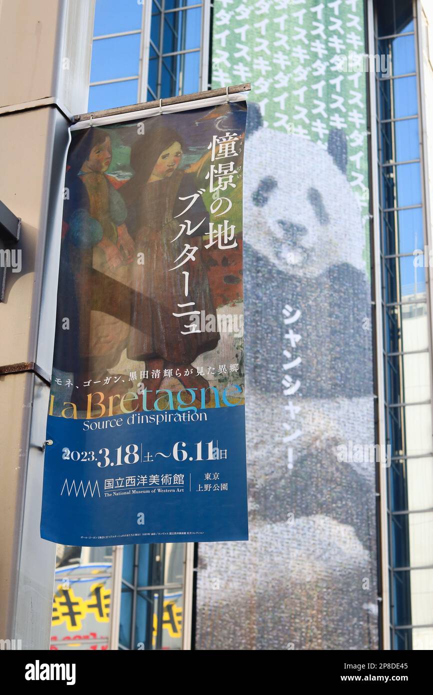 Bandiere sul lampione a Ueno per la mostra del Museo Nazionale di Arte Occidentale con mosaico di panda Xiang Xiang di fronte al dipartimento di Matsuzakaya. (3/2023) Foto Stock