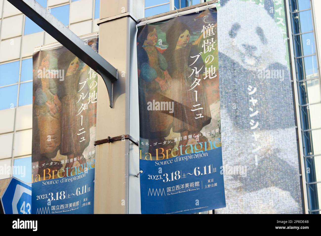 Bandiere sul lampione a Ueno per la mostra del Museo Nazionale di Arte Occidentale con mosaico di panda Xiang Xiang di fronte al dipartimento di Matsuzakaya. (3/2023) Foto Stock