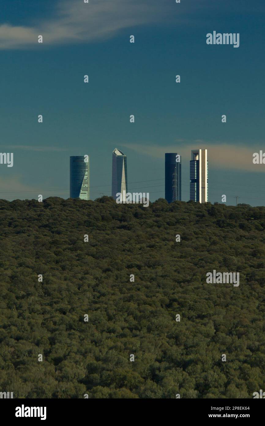 Quattro grattacieli sopra le cime degli alberi, Cuatro Torres Business Area, Madrid, Spagna Foto Stock