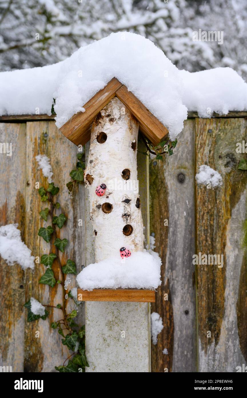 Bug hotel coperto di neve, fissato ad una recinzione in un giardino. Foto Stock