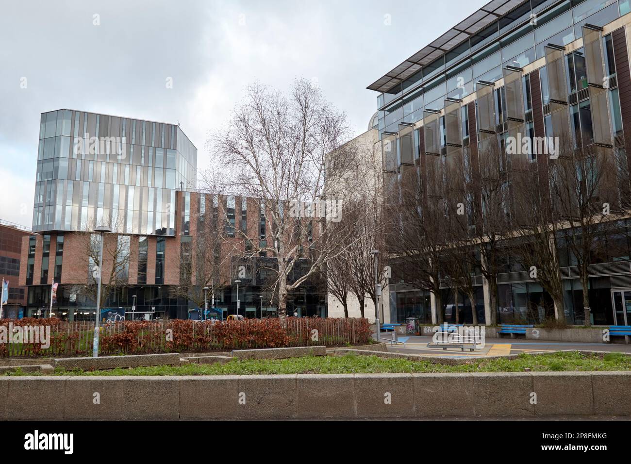 università ulster campus Belfast e giardini cattedrale Irlanda del Nord Regno Unito Foto Stock