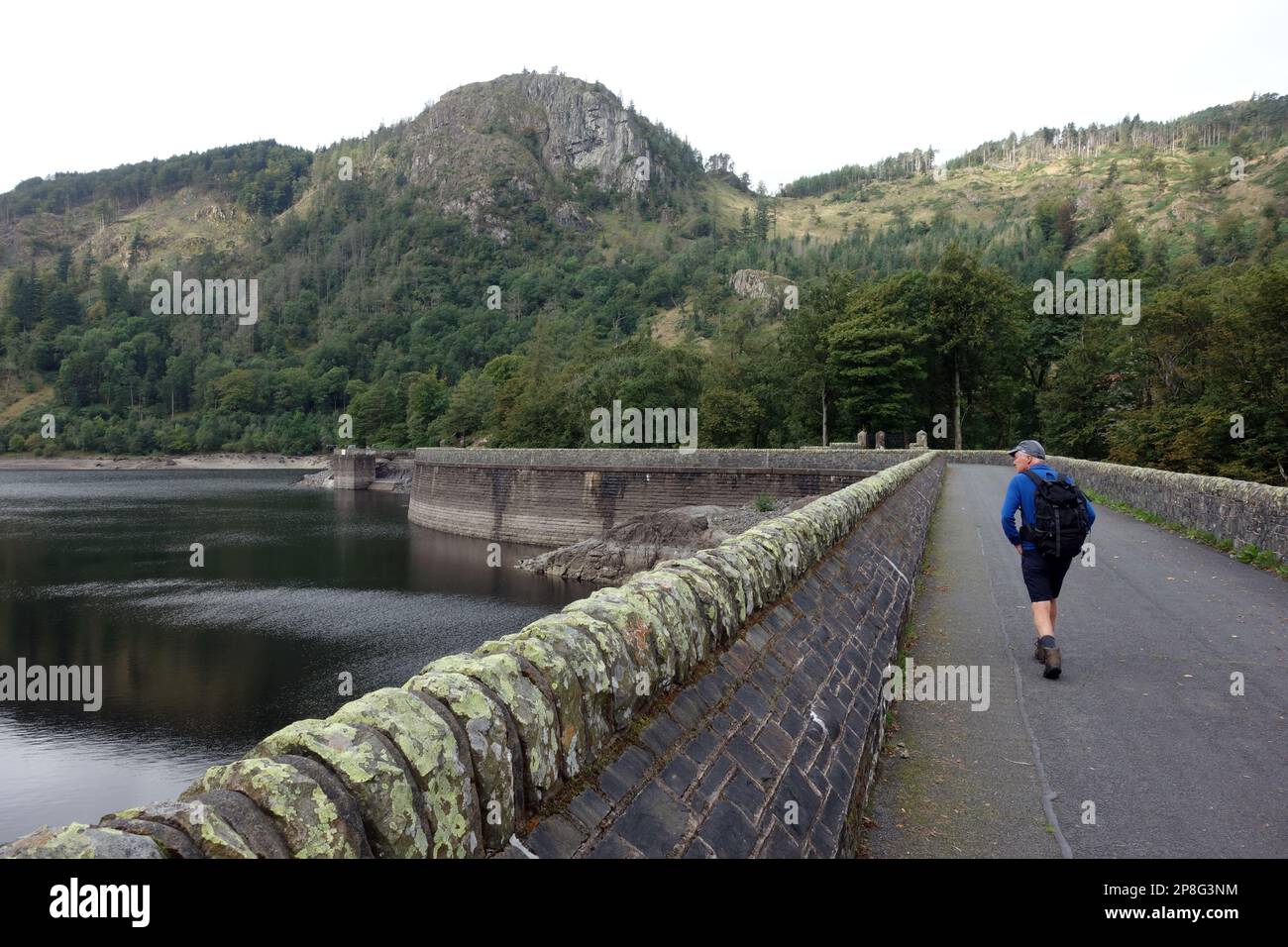 Man Walking al Wainwright 'Raven Crag' sopra la diga di Thirlmere Reservoir nel Lake District National Park, Cumbria, Inghilterra, Regno Unito. Foto Stock