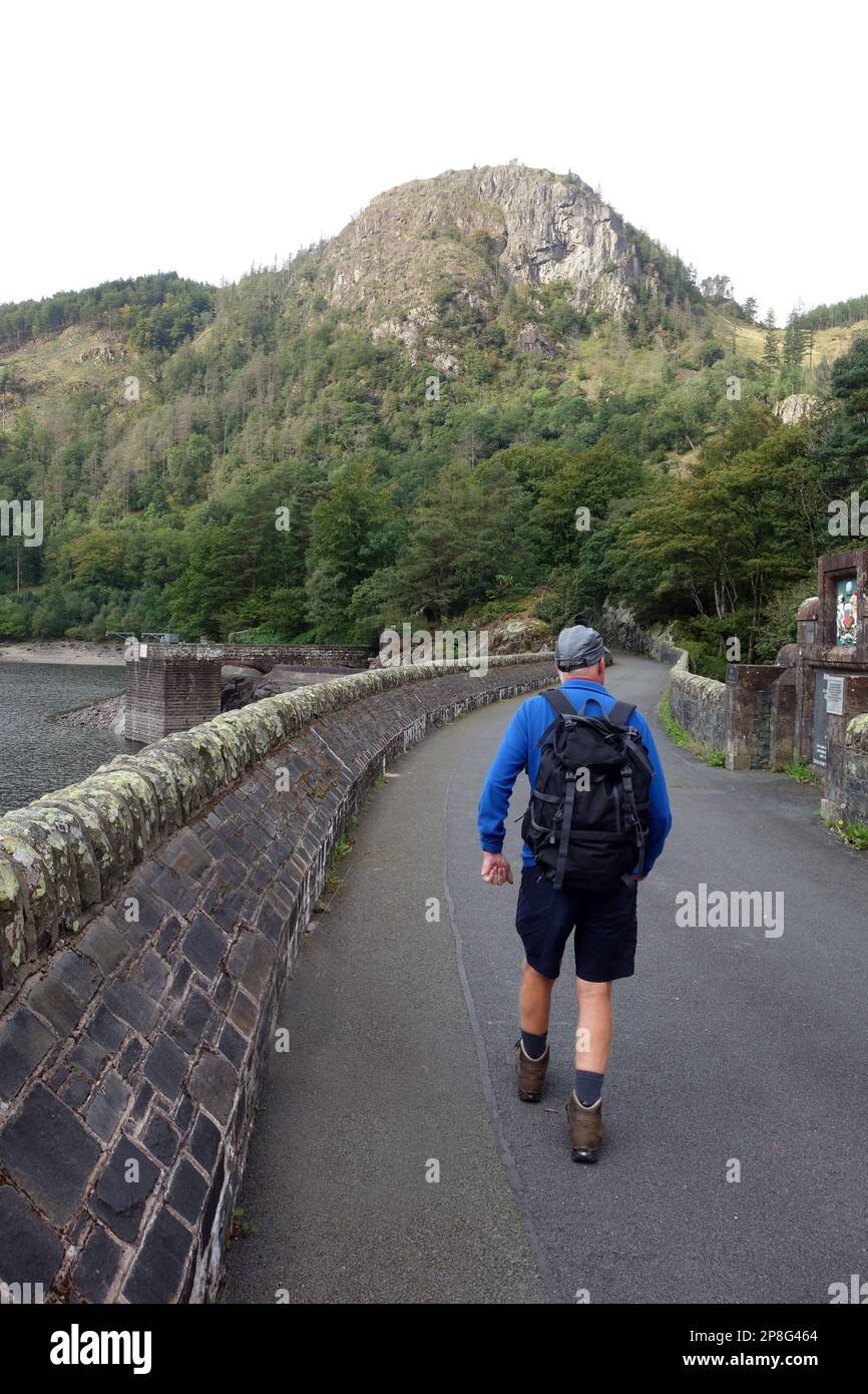 Man Walking al Wainwright 'Raven Crag' sopra la diga di Thirlmere Reservoir nel Lake District National Park, Cumbria, Inghilterra, Regno Unito. Foto Stock