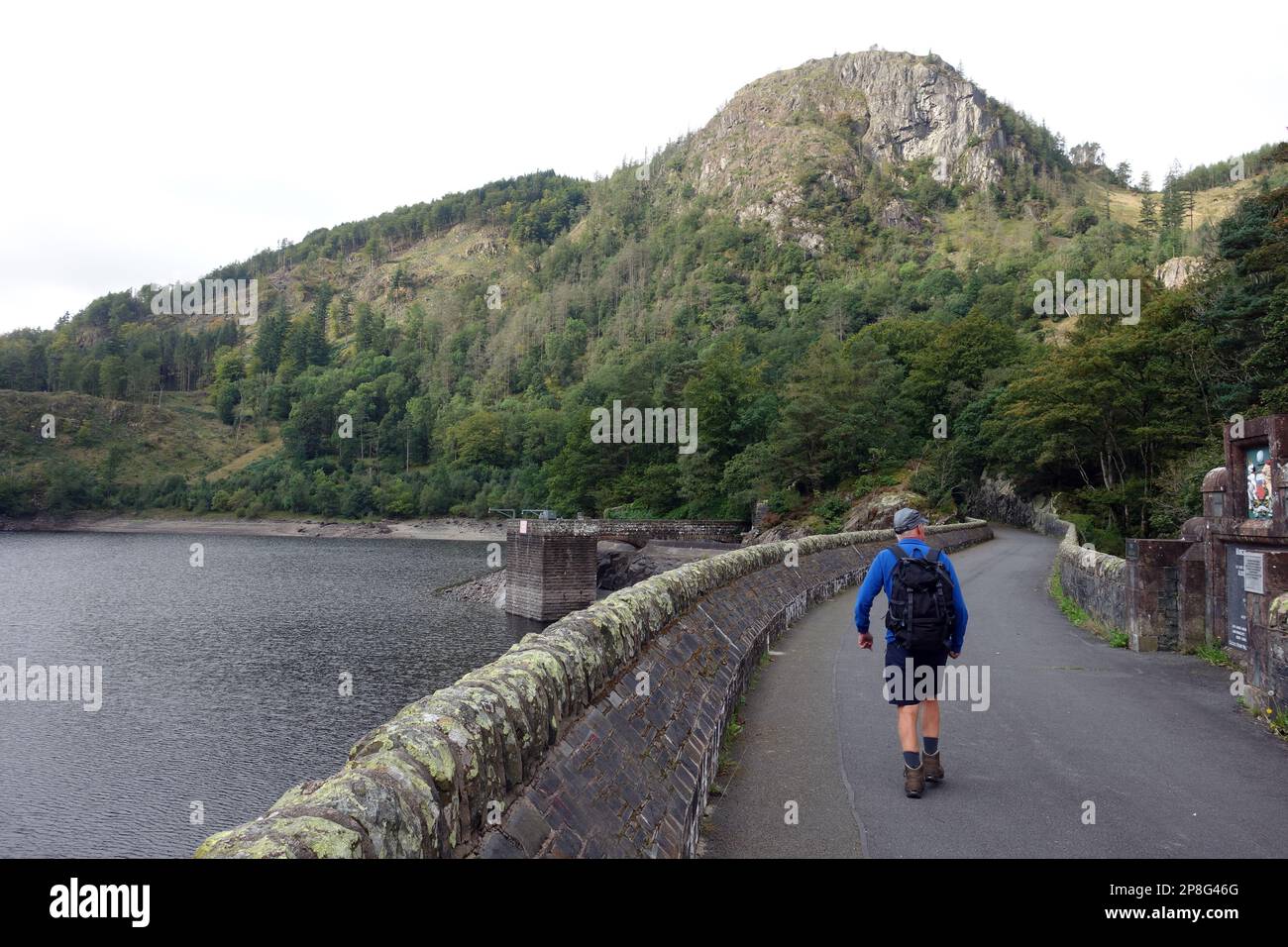 Man Walking al Wainwright 'Raven Crag' sopra la diga di Thirlmere Reservoir nel Lake District National Park, Cumbria, Inghilterra, Regno Unito. Foto Stock