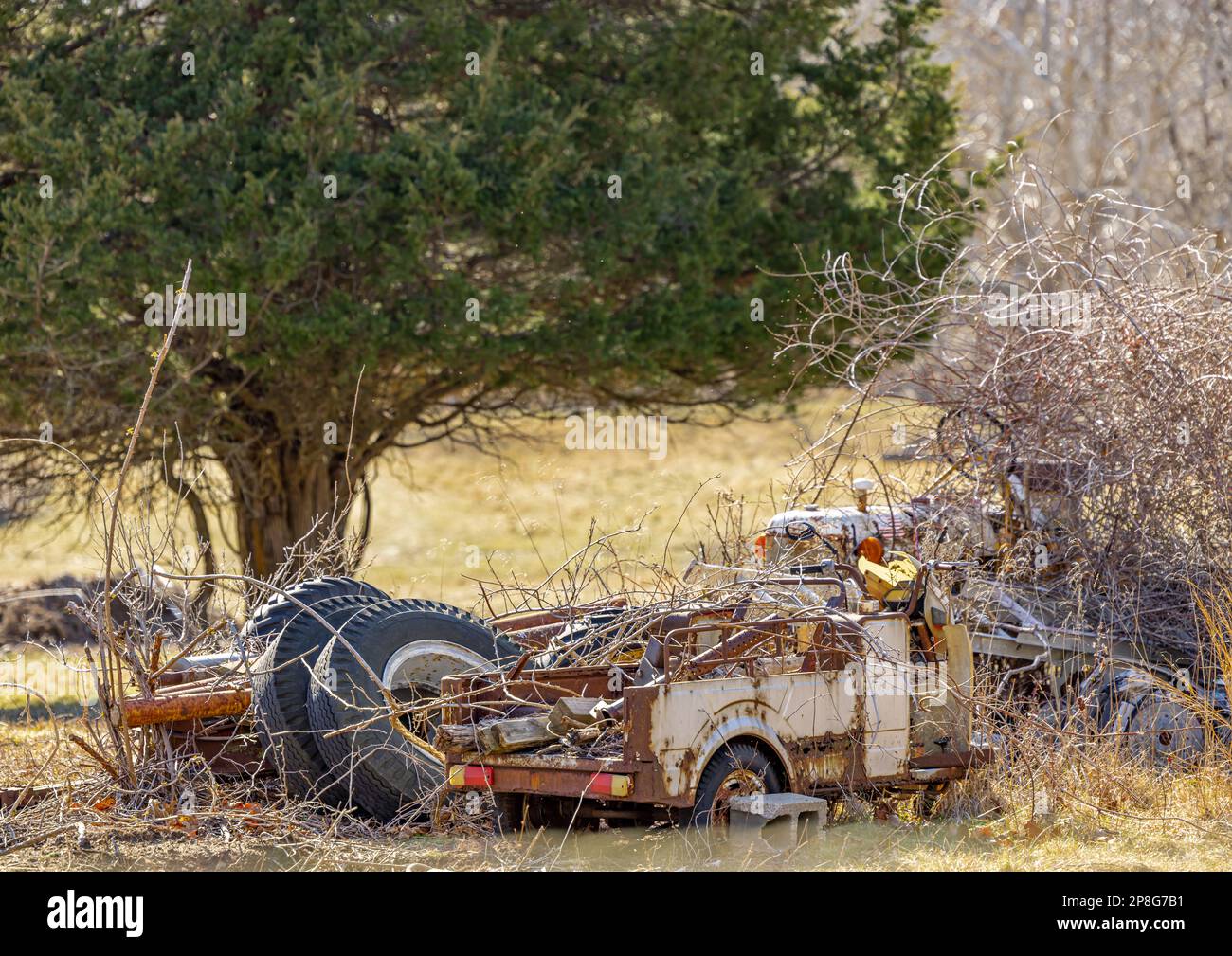 diversi tipi di veicoli vecchi coperti da spazzole e viti Foto Stock
