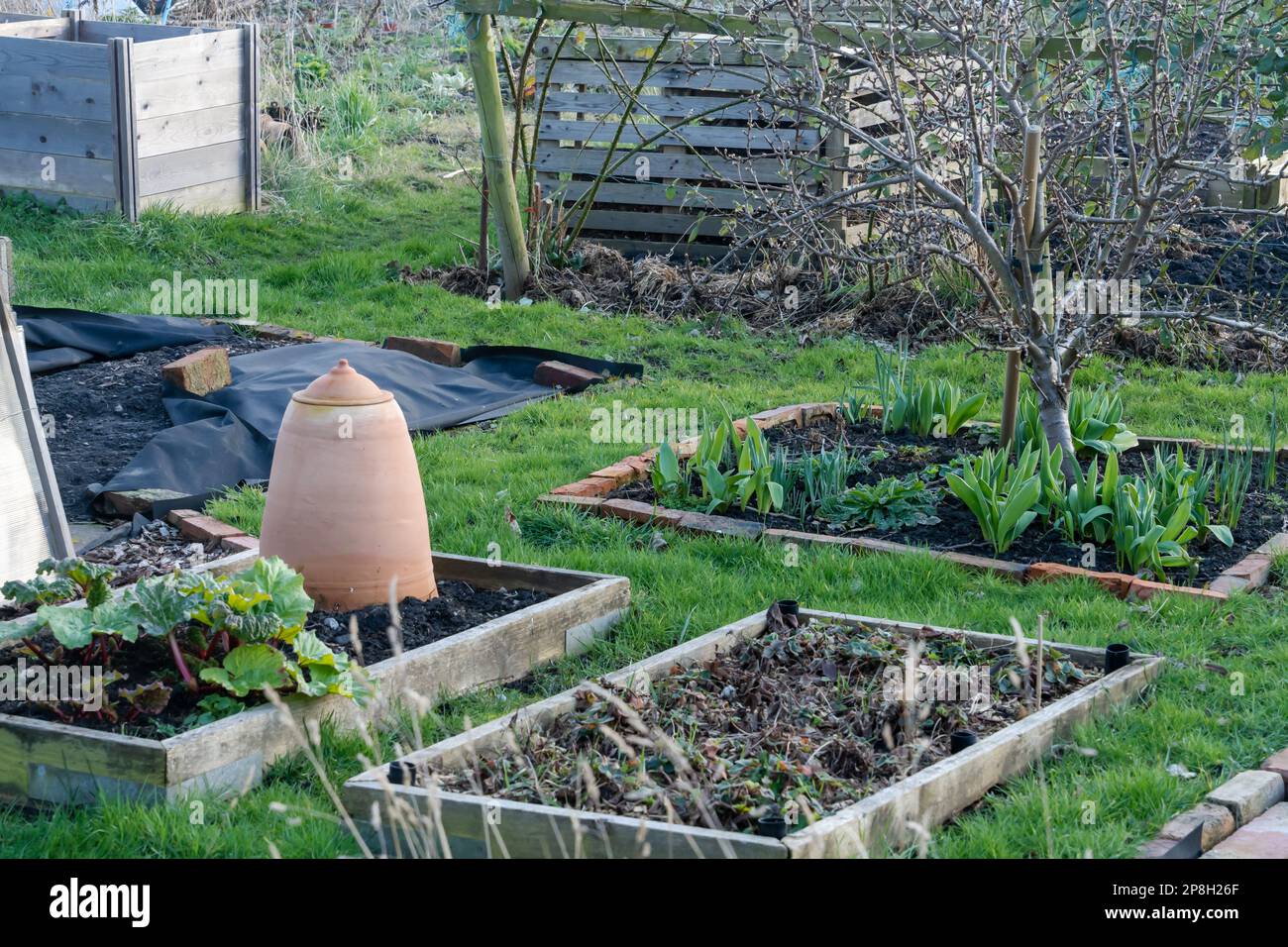 Giardinaggio di assegnazione nel mese di marzo. Vista su piazzole con letti rialzati. Preparazione per la primavera. Foto Stock