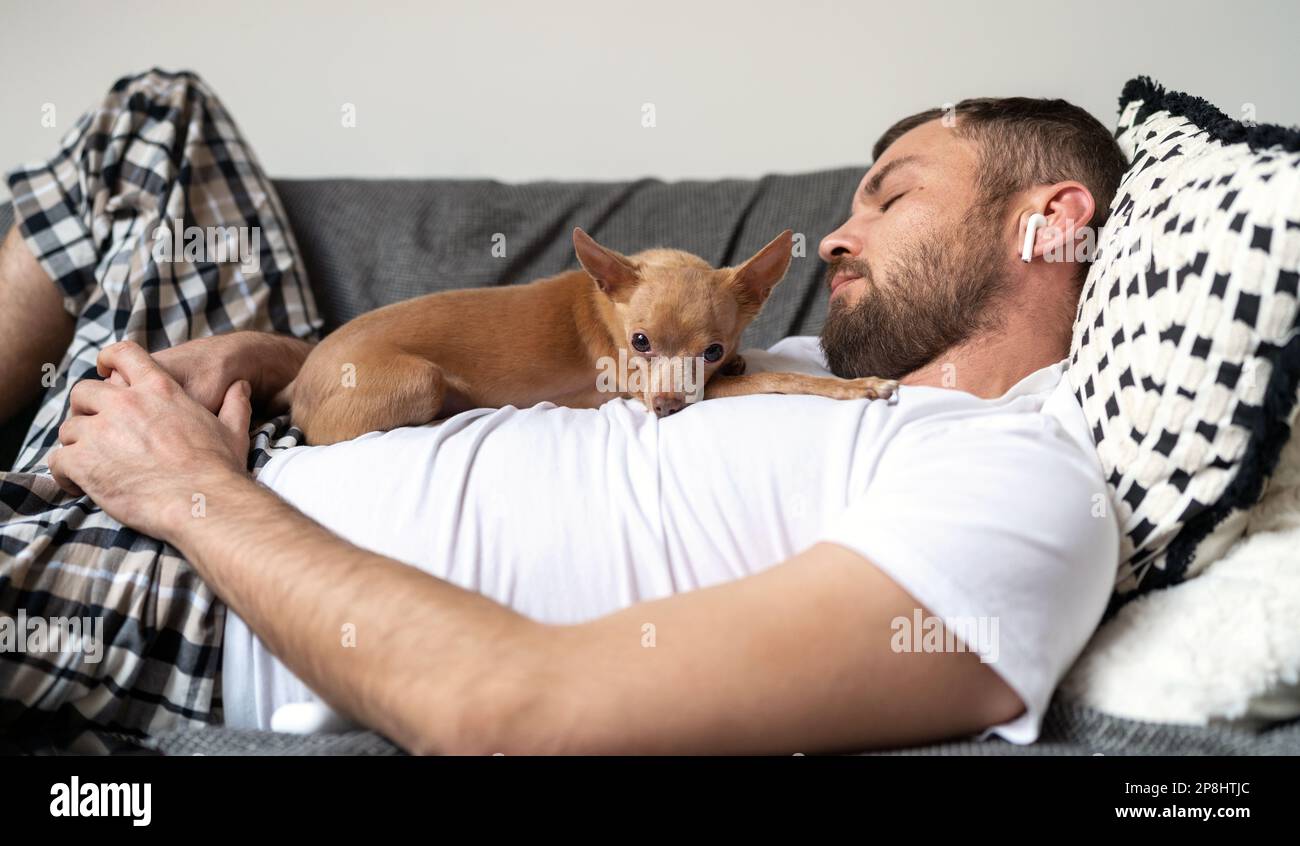 Piccolo cane sdraiato sul petto del proprietario mentre il proprietario scivola. Foto Stock