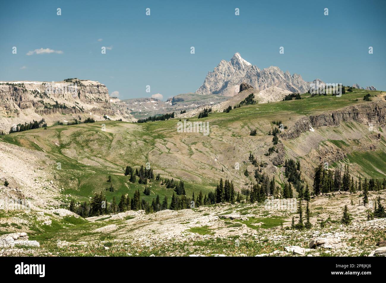 I prati si estendono sotto il Grand Teton Peak dal Game Creek Pass Foto Stock