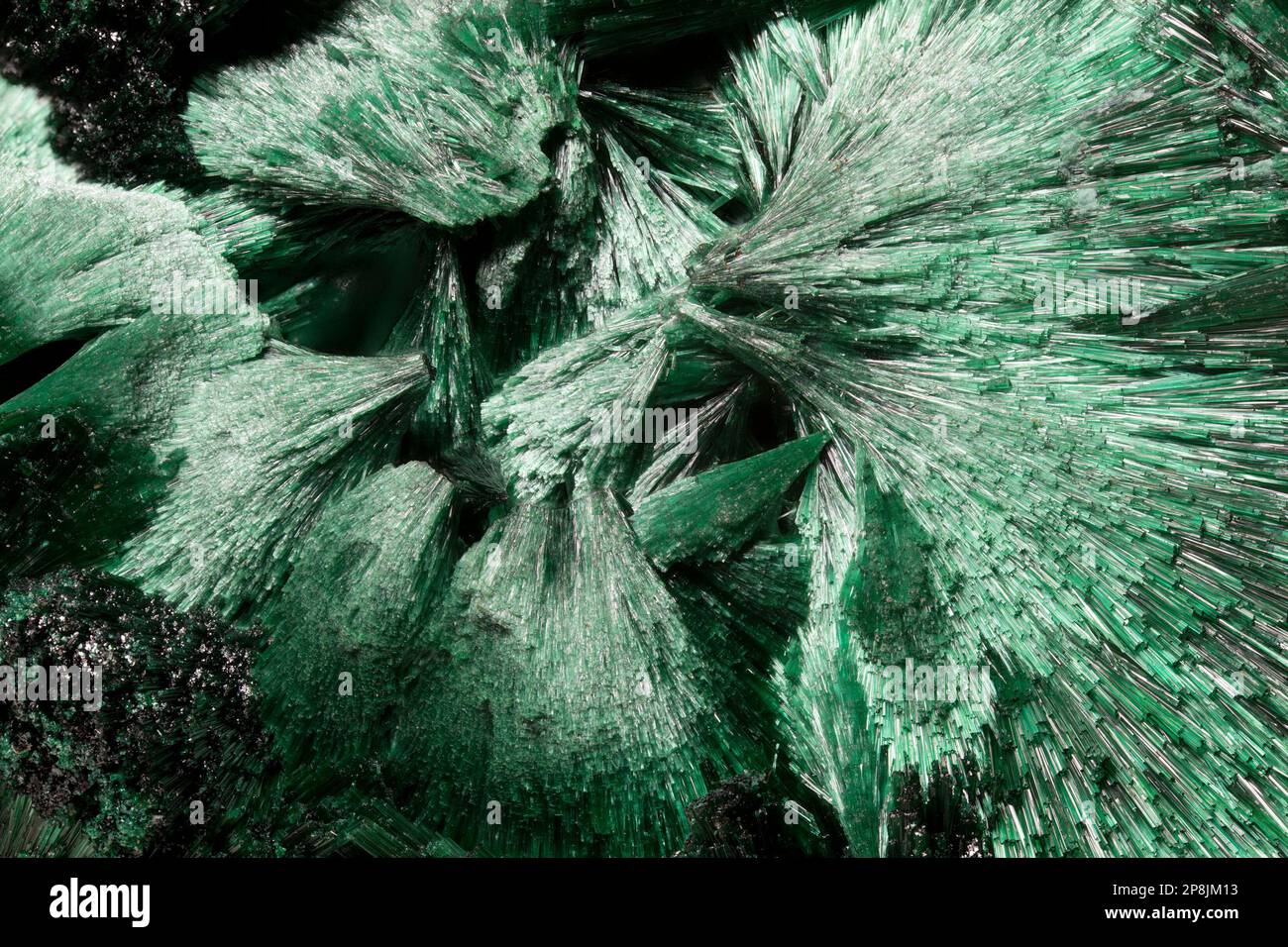 Closeup fibroso di Malachite (idrossido di carbonato di rame). Cornice immagine c8mm trasversale Foto Stock
