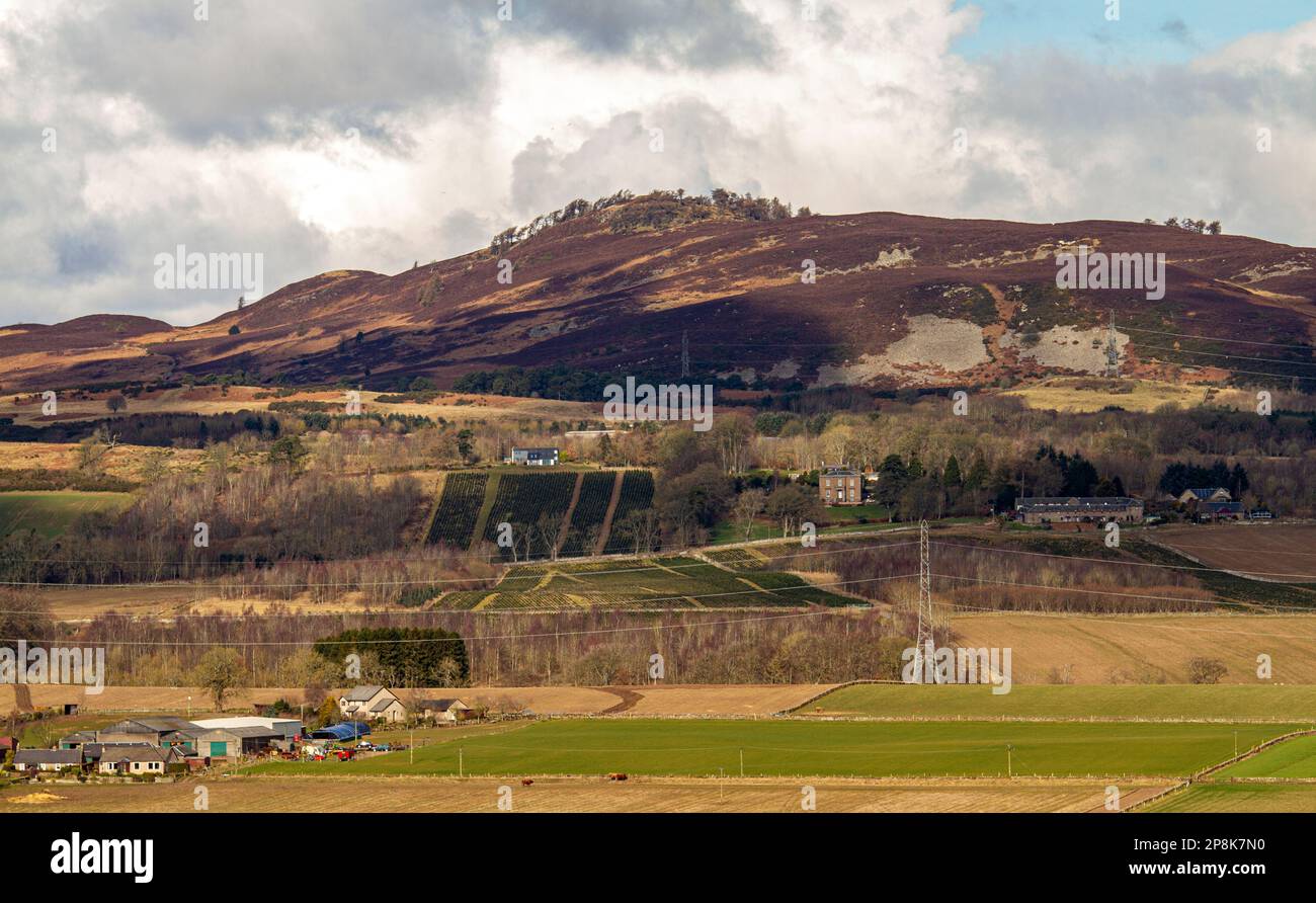 Dundee, Tayside, Scozia, Regno Unito. 9th Mar, 2023. UK Weather: Il nord-est della Scozia sta sperimentando il clima primaverile, ma è molto freddo, con temperature che si aggirano intorno ai 3°C. Una pittoresca vista panoramica della valle di Strathmore, delle colline di Sidlaw e della campagna circostante nella campagna di Dundee sotto il sole di marzo. Credit: Dundee Photographics/Alamy Live News Foto Stock