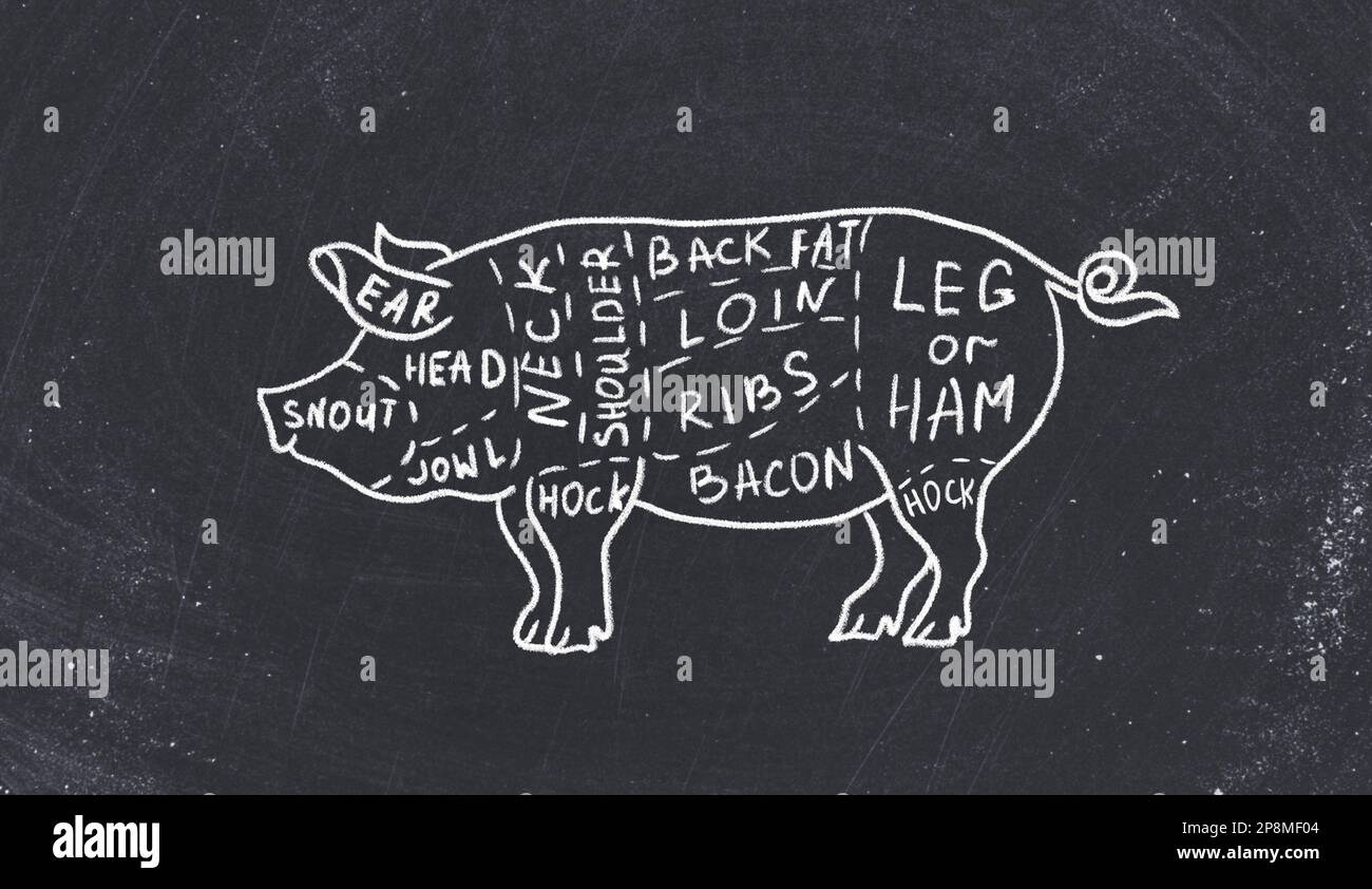 Guida del macellaio: Tagli di schema di maiale. Illustrazione di maiale su sfondo nero Foto Stock