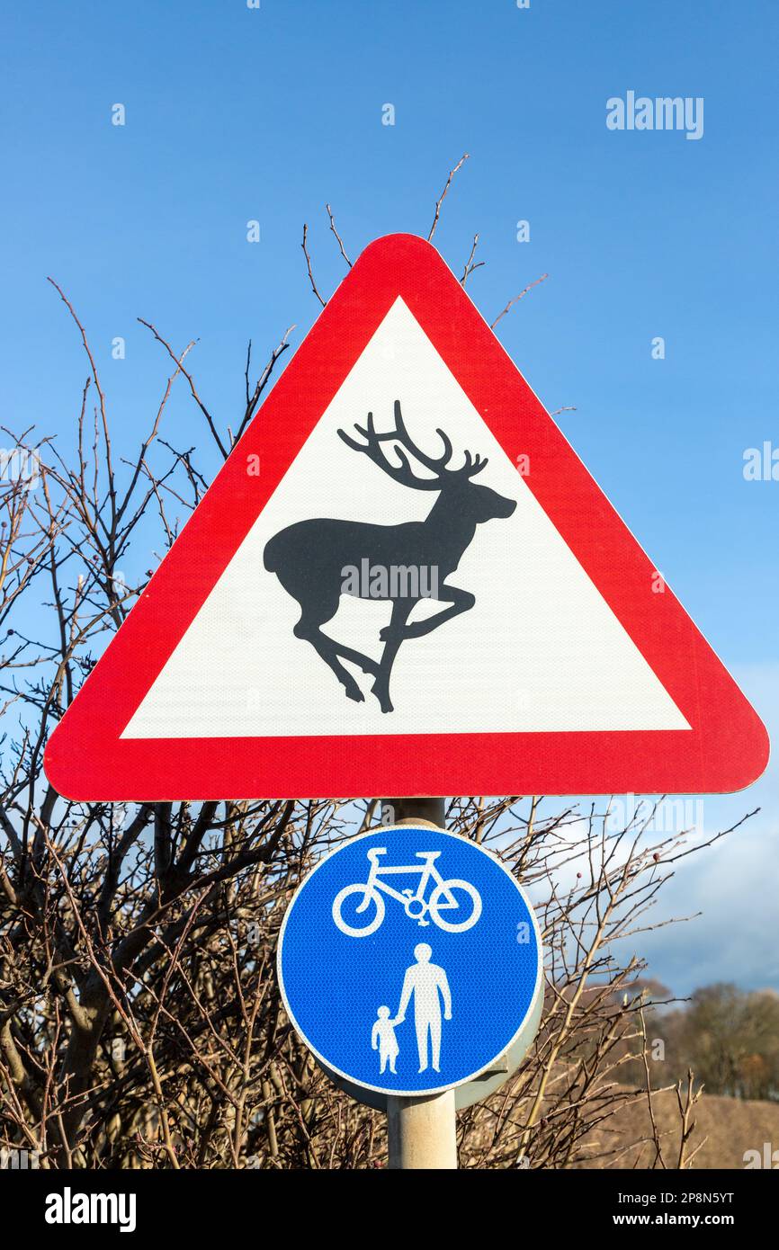 Deer Warning Sign in Scotland UK Foto Stock