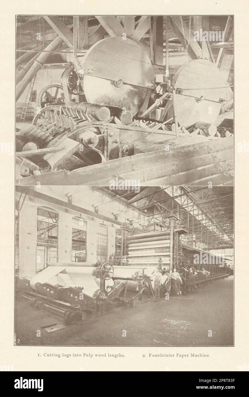 Tagliare tronchi in lunghezze di legno di polpa. Fourdrinier Paper Machine 1907 vecchia stampa Foto Stock