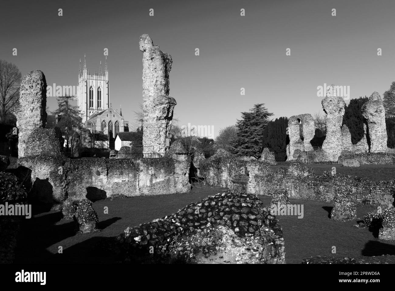 Le rovine di Bury St Edmunds Abbey, Abbey Gardens, Bury St Edmunds City, Suffolk, Inghilterra Foto Stock