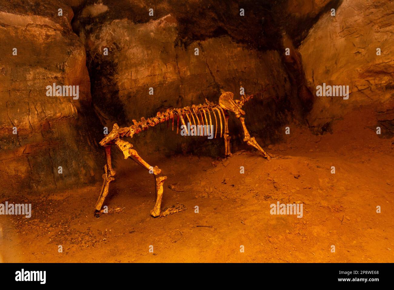 Osselle Cave photos - Doups, France - grotte d'osselle Foto Stock