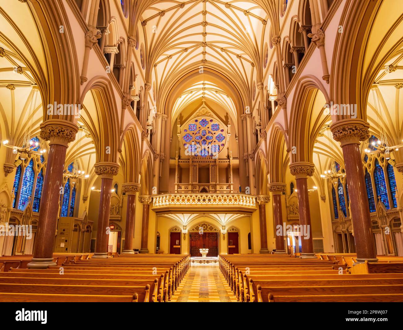 Vista interna del St. Francis Xavier College Church nel Missouri Foto Stock
