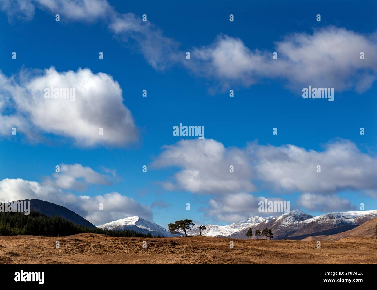 Vista delle montagne a est di Glen Etive dalla tenuta di Clashgour ad Argyll e Bute, Scozia Foto Stock