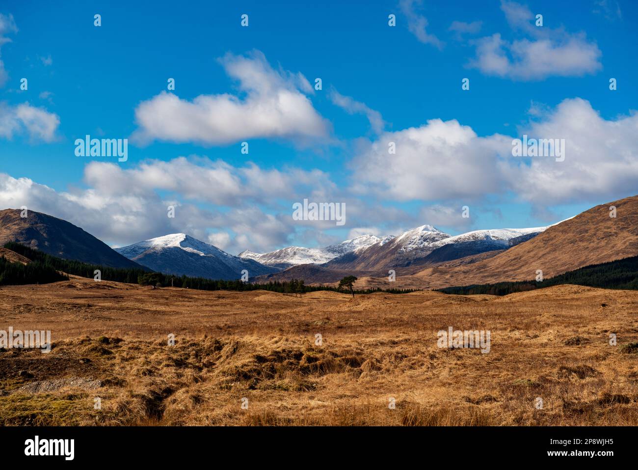 Vista delle montagne a est di Glen Etive dalla tenuta di Clashgour ad Argyll e Bute, Scozia Foto Stock