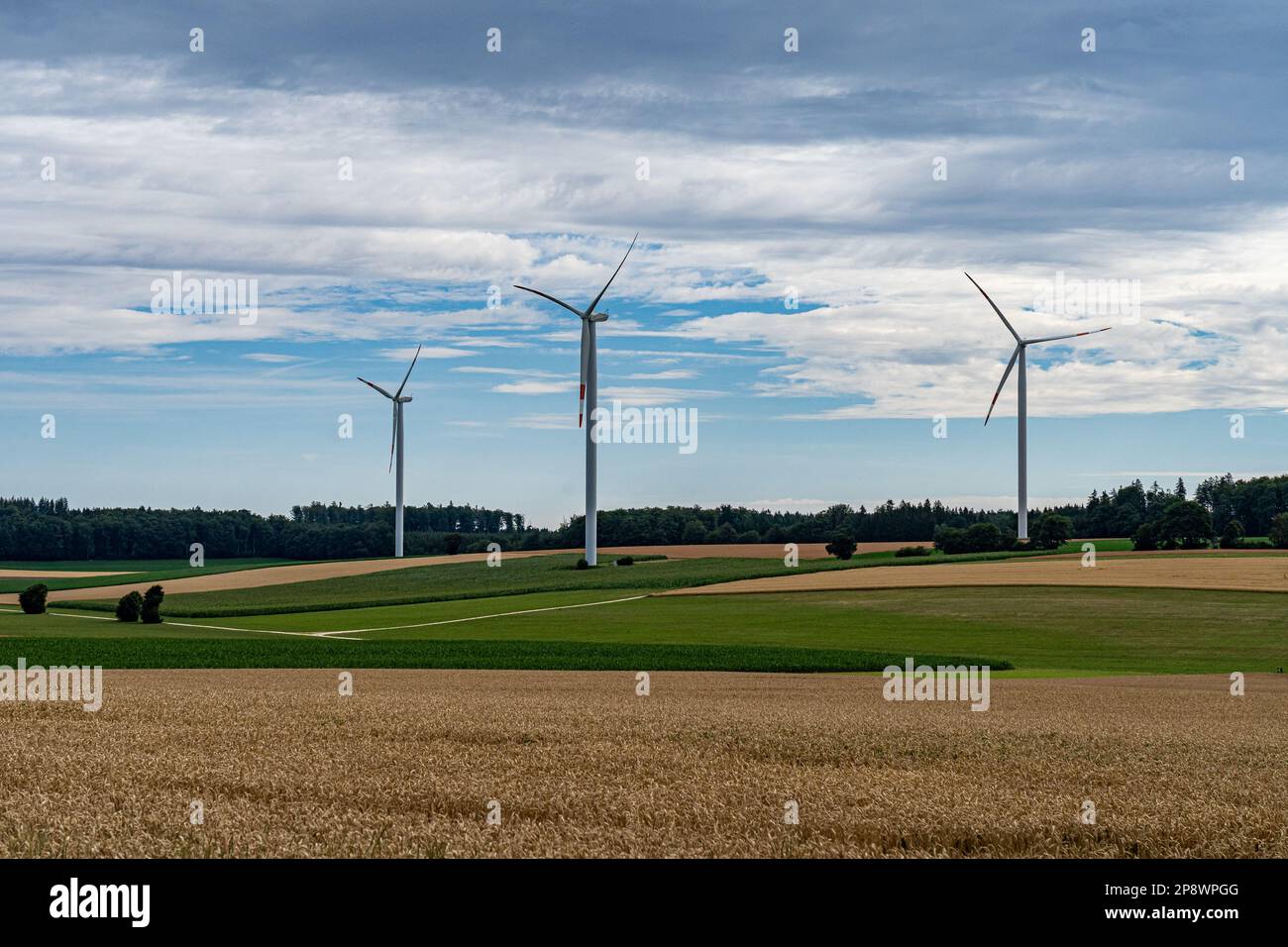 Grandi mulini a vento per il potere di vento sul campo Foto Stock