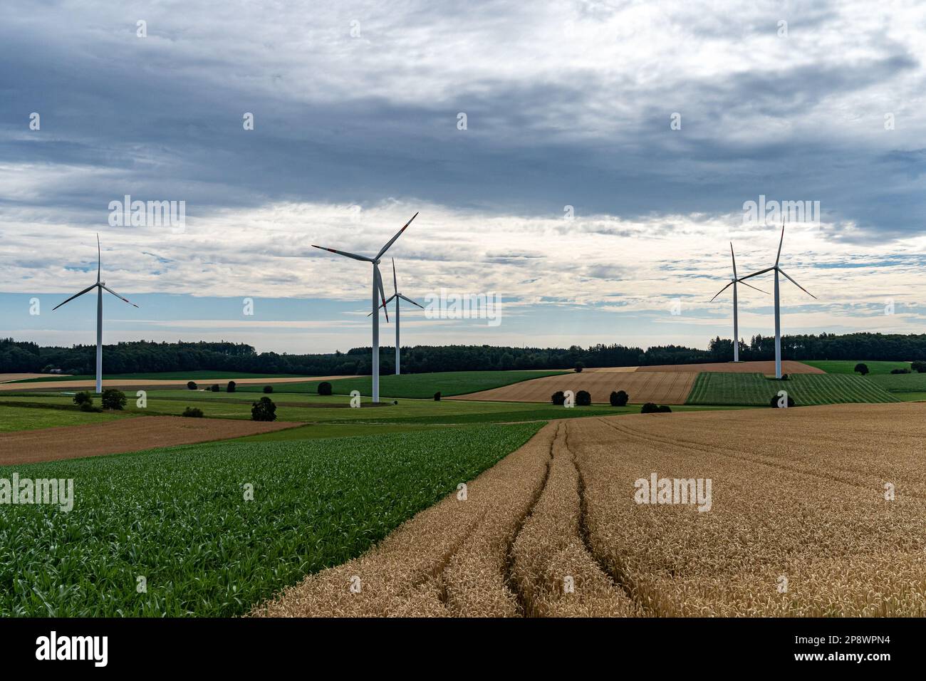 Grandi mulini a vento per il potere di vento sul campo Foto Stock