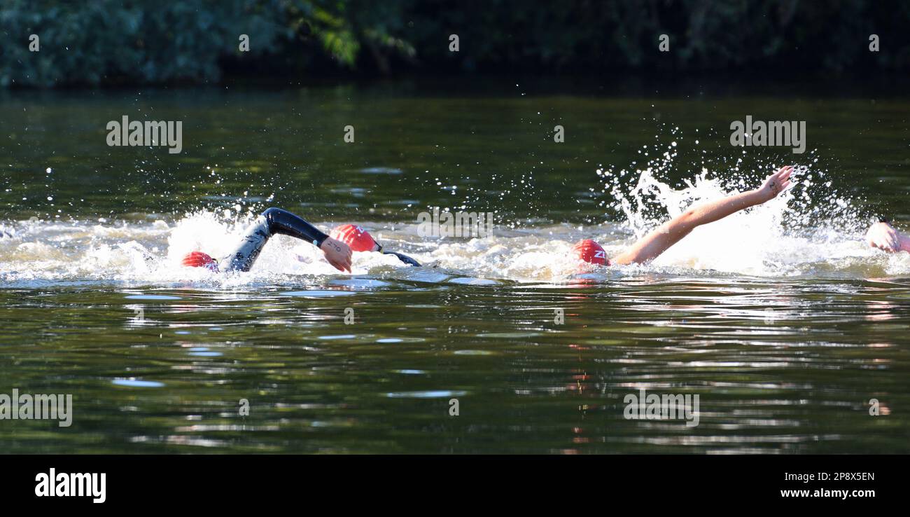 Nuotatori di triathlon nel fiume Ouse a St Neots Cambridgeshire. Foto Stock
