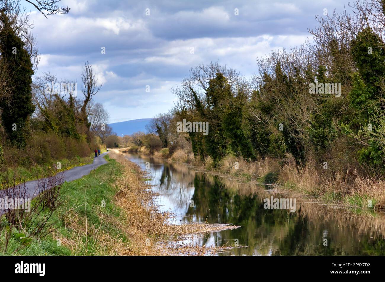 Passeggia lungo il canale reale tra Maynoth e Kilcock in Irlanda Foto Stock