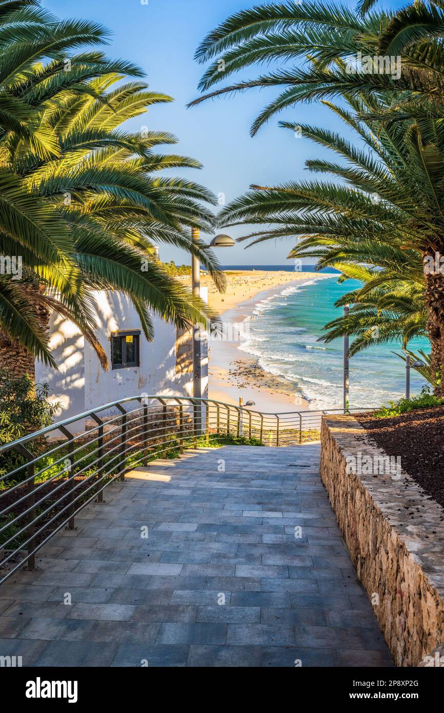 La spiaggia Playa de Morro Jable, Fuerteventura, Isole Canarie, Spagna Foto Stock
