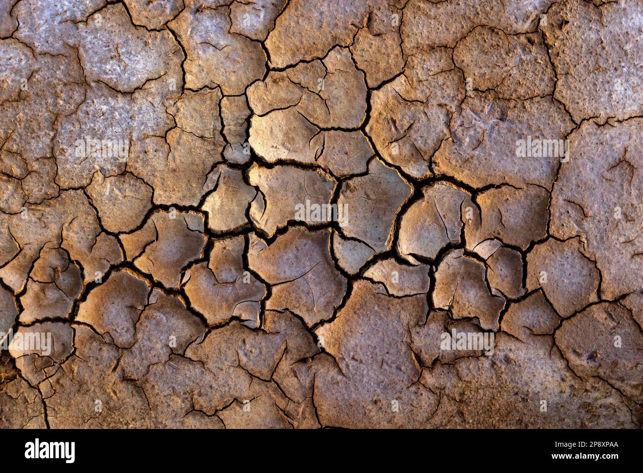 Peeling fango in clima caldo al tramonto. Foto Stock