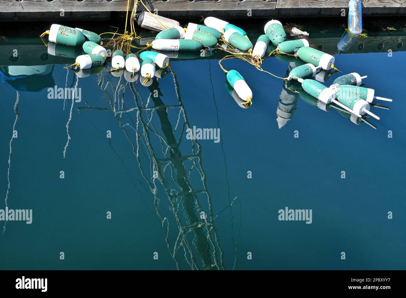 Galleggianti galleggianti nel porto di Dana Point Marina. Foto Stock