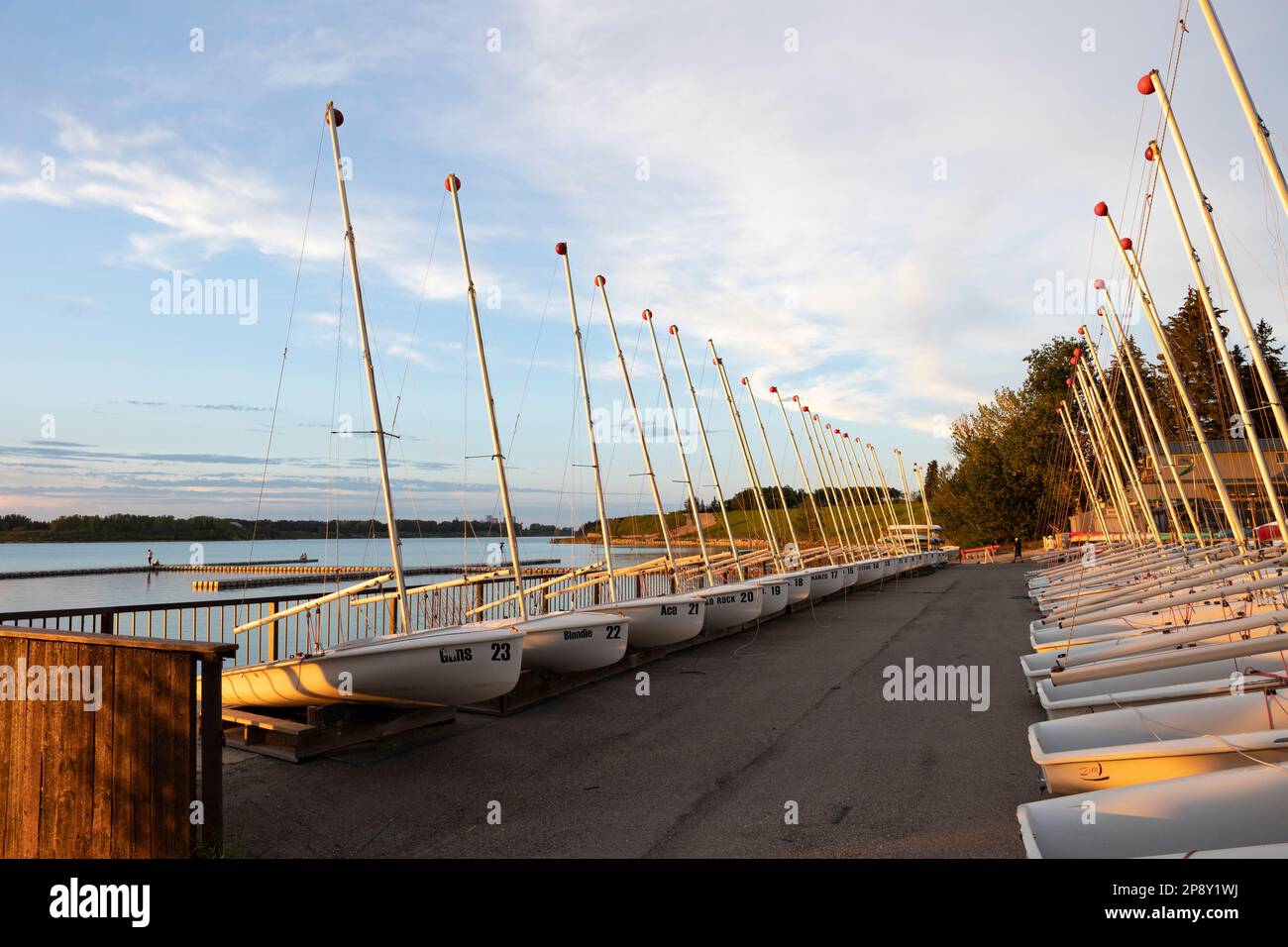 Calgary, Alberta, Canada - file di barche a vela in deposito al tramonto nel South Glenmore Park vicino al serbatoio Foto Stock