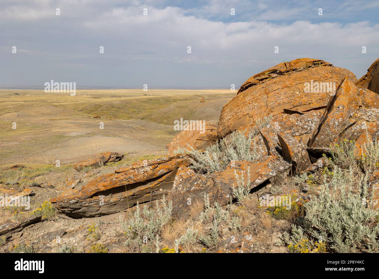 Red Rock Coulee, Alberta, Canada, nella contea di Forty Mile Foto Stock