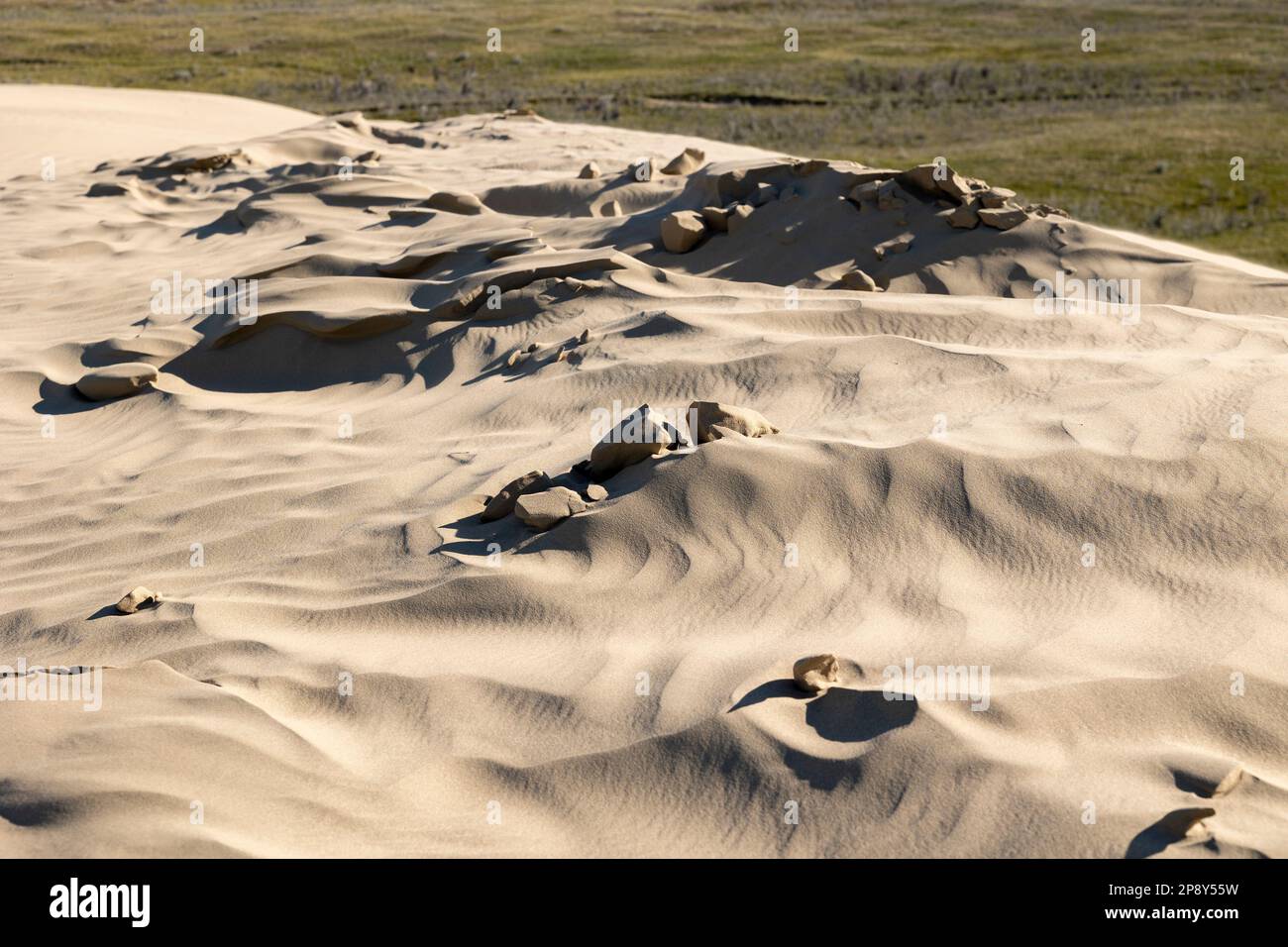 Modelli su una duna nelle grandi colline di sabbia, Saskatchewan, Canada Foto Stock