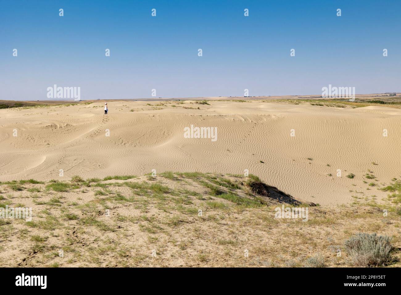 Donna in lontananza che guarda attraverso una duna nelle Great Sand Hills, Saskatchewan, Canada Foto Stock