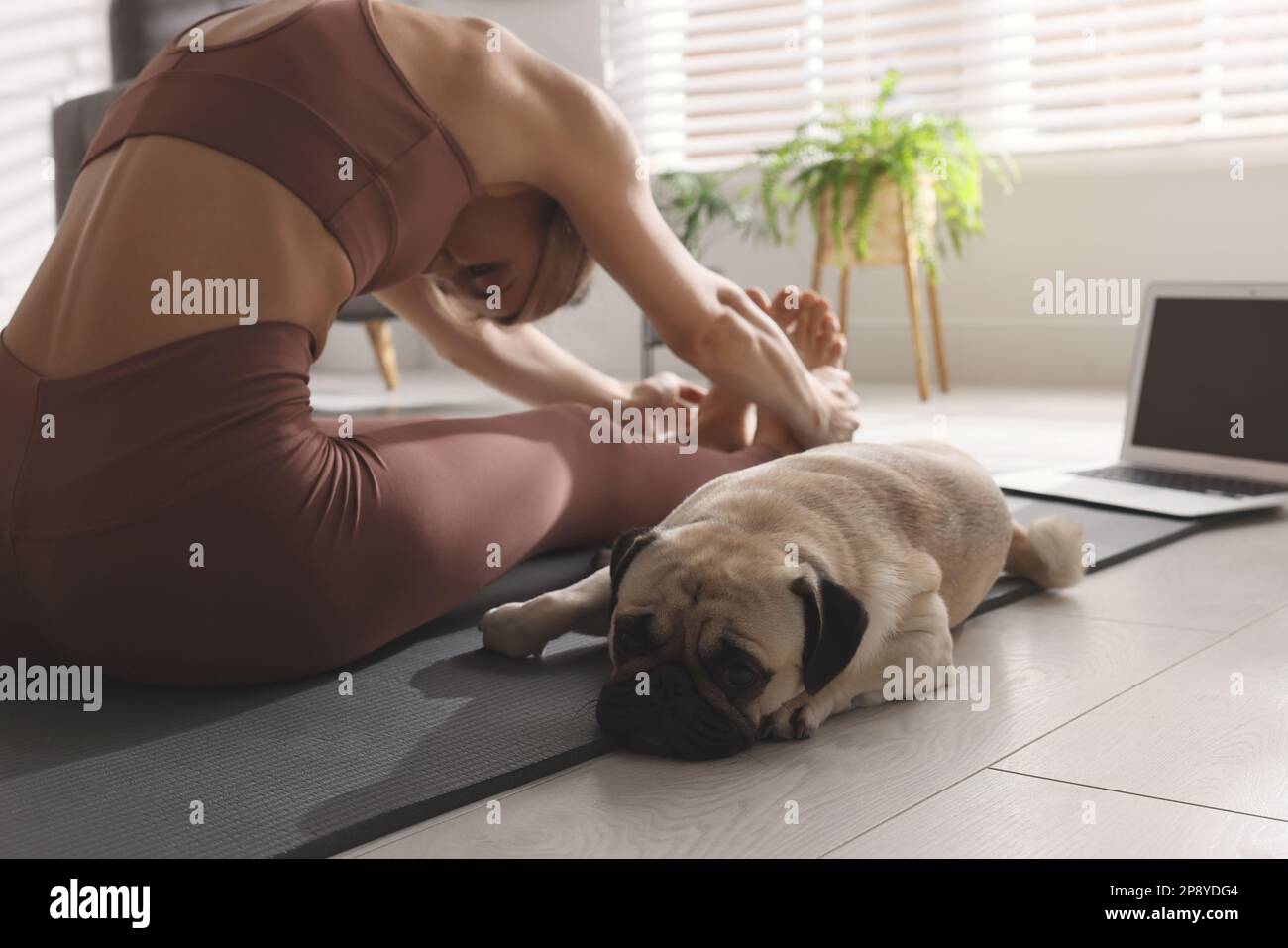 Donna con il cane che segue la lezione di yoga in linea nel paese Foto Stock