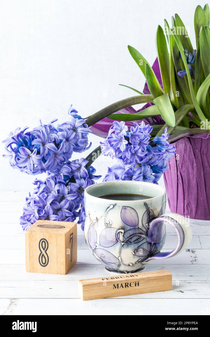 Una scena di vita ferma con fiori viola Hyacinto per la Giornata Internazionale della Donna Foto Stock