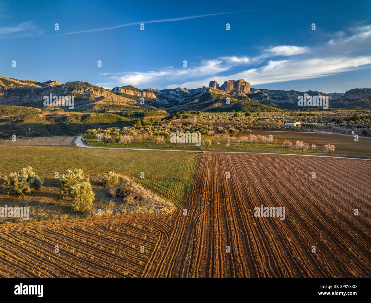 Veduta aerea di un tramonto tra campi e mandorli fiorenti in primavera con Els Ports Parco Naturale e le rocce Roques de Benet sullo sfondo Foto Stock