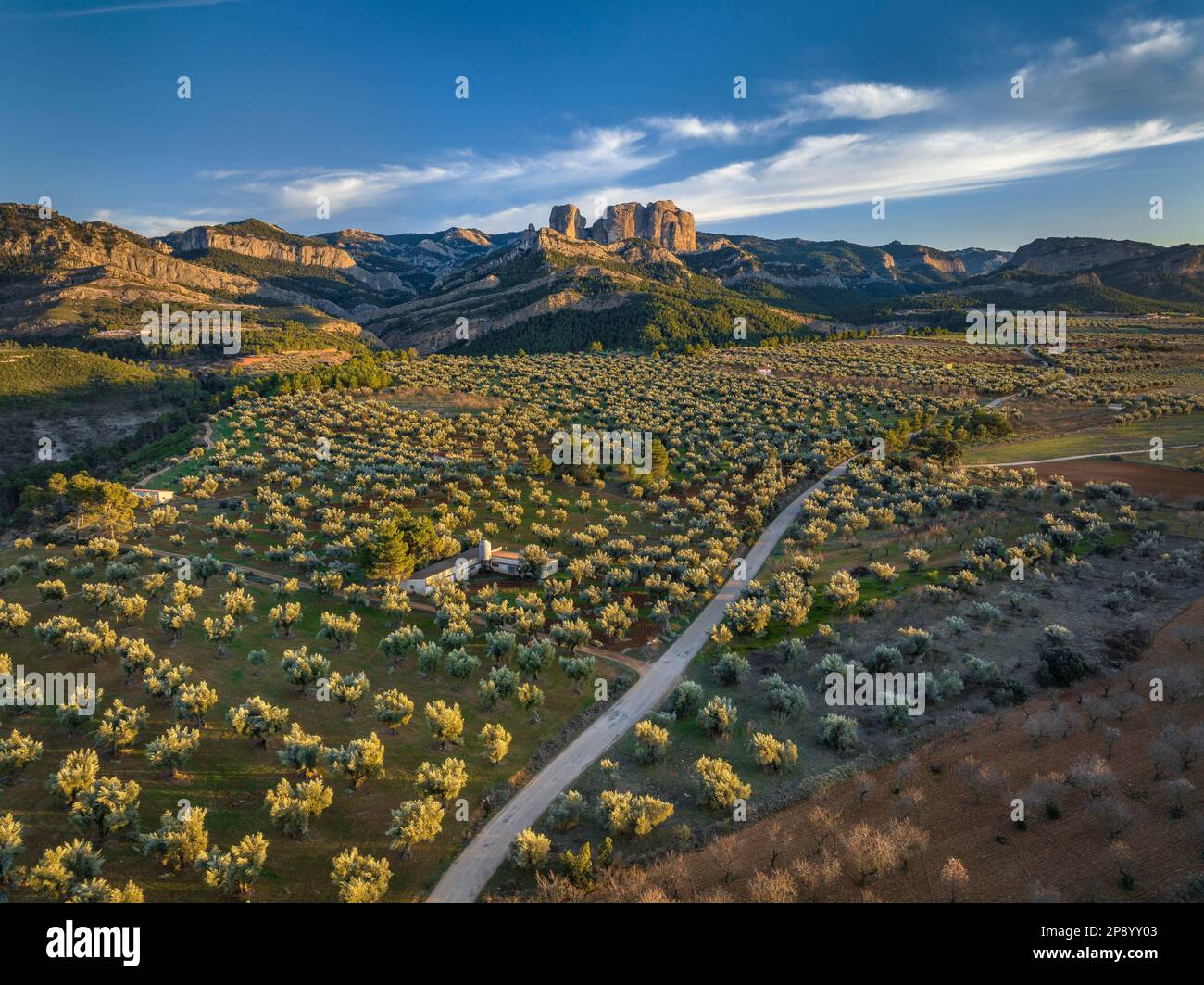 Veduta aerea di un tramonto tra i campi e gli uliveti in primavera, con il Parco Naturale di Els Ports e le rocce di Roques de Benet sullo sfondo (Spagna) Foto Stock