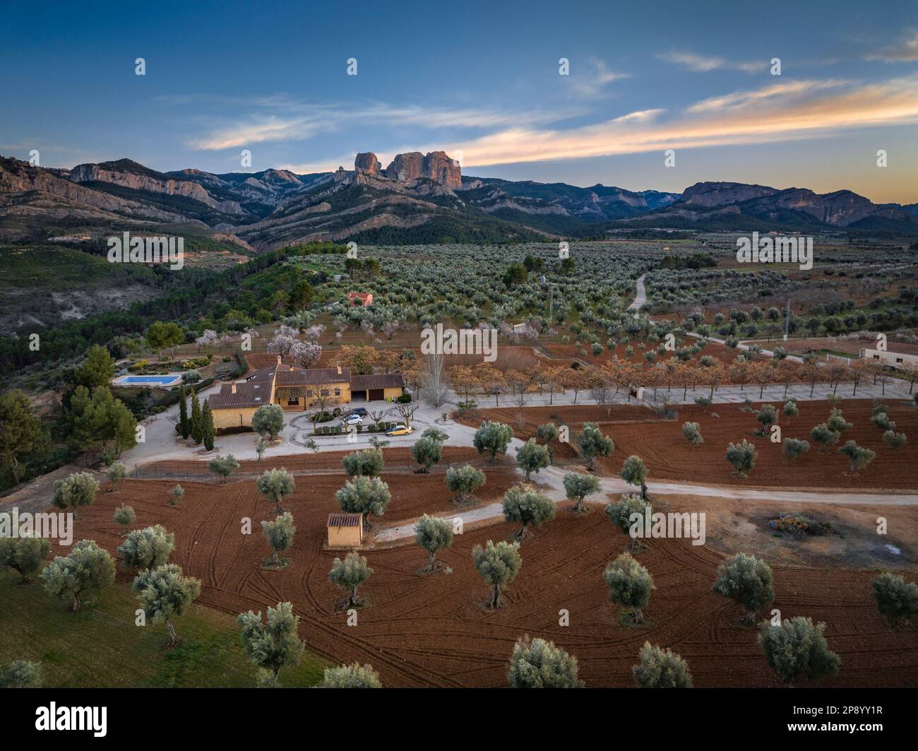 Veduta aerea di un tramonto tra i campi e gli uliveti in primavera, con il Parco Naturale di Els Ports e le rocce di Roques de Benet sullo sfondo (Spagna) Foto Stock