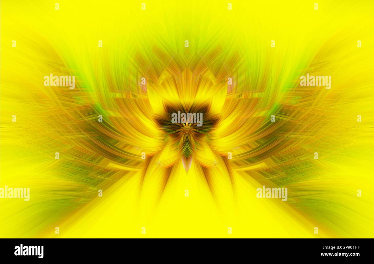 Frattale floreale colorato per creare un bellissimo sfondo astratto Foto Stock