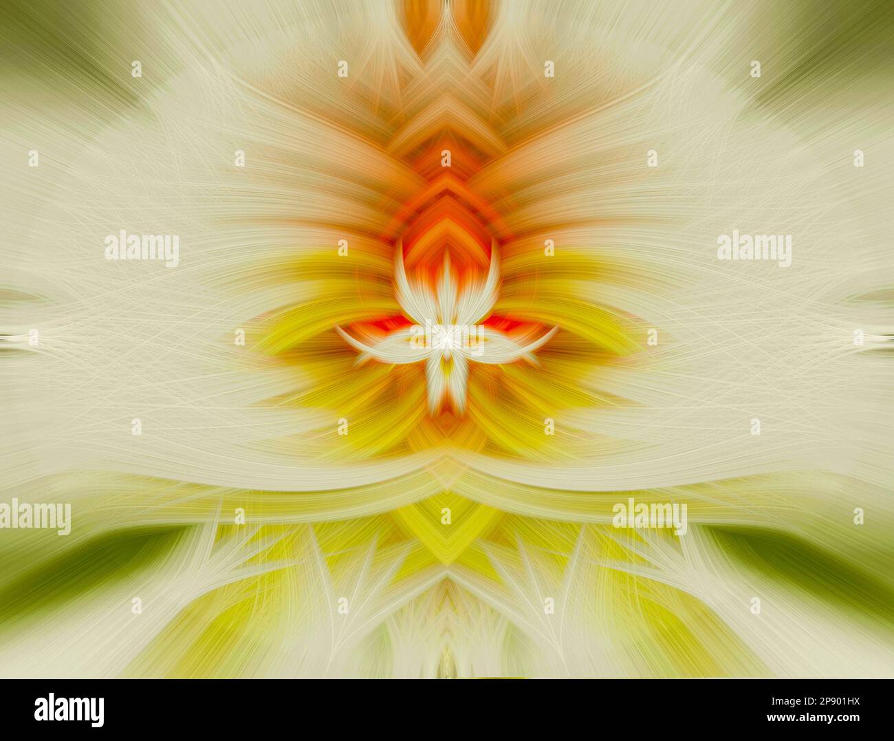 Frattale floreale colorato per creare un bellissimo sfondo astratto Foto Stock