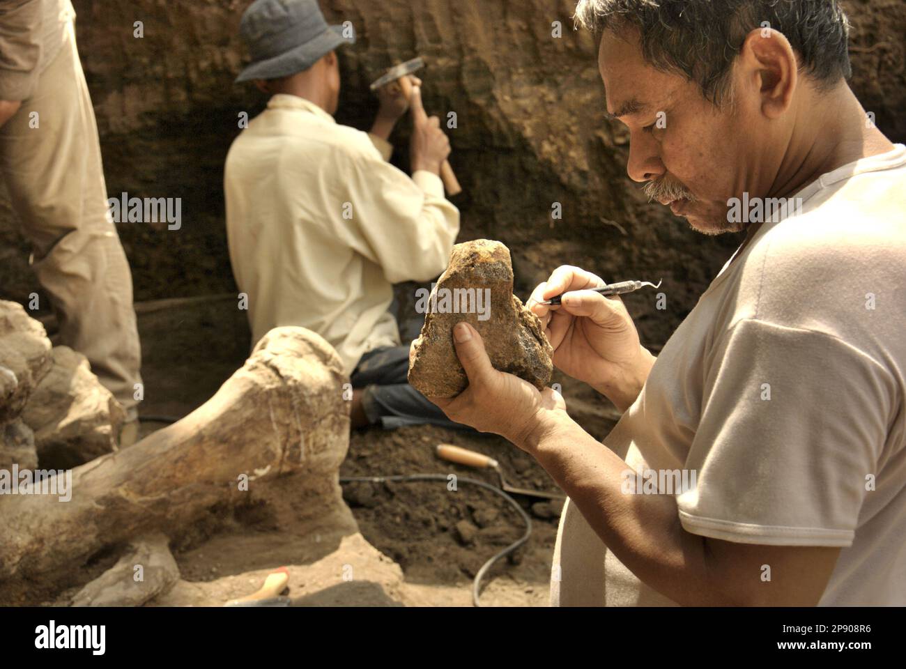 Fachroel Aziz, professore di ricerca di paleontologia vertebrata, viene fotografato presso il sito di scavo di Elephas hysudrindicus, una specie di elefante estinta vissuta durante l'epoca del Pleistocene, più tardi conosciuta come 'elefante di Blora', a Sunggun, Mendalem, Kradenan, Blora, Giava Centrale, Indonesia. Foto Stock