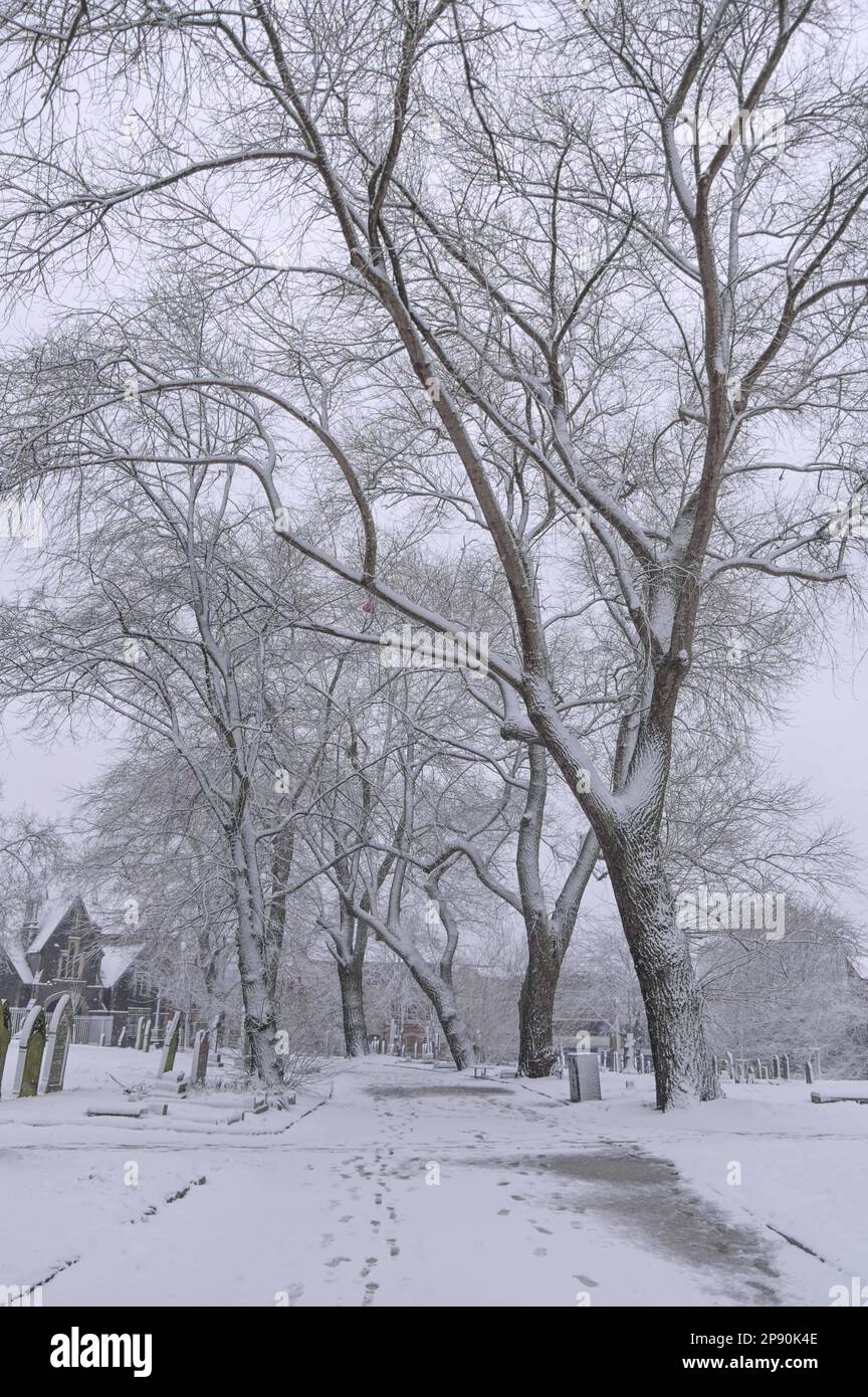 Jewellery Quarter, Birmingham, 10 marzo 2023 - la morte della Primavera inglese - la neve pesante ha colpito ancora una volta Birmingham mentre le condizioni invernali di "The Beast from the East" hanno coperto la città nelle prime ore del mattino. Il cimitero di Warstone Lane sembrava pittoresco. Credito: Interrompi stampa Media/Alamy Live News Foto Stock