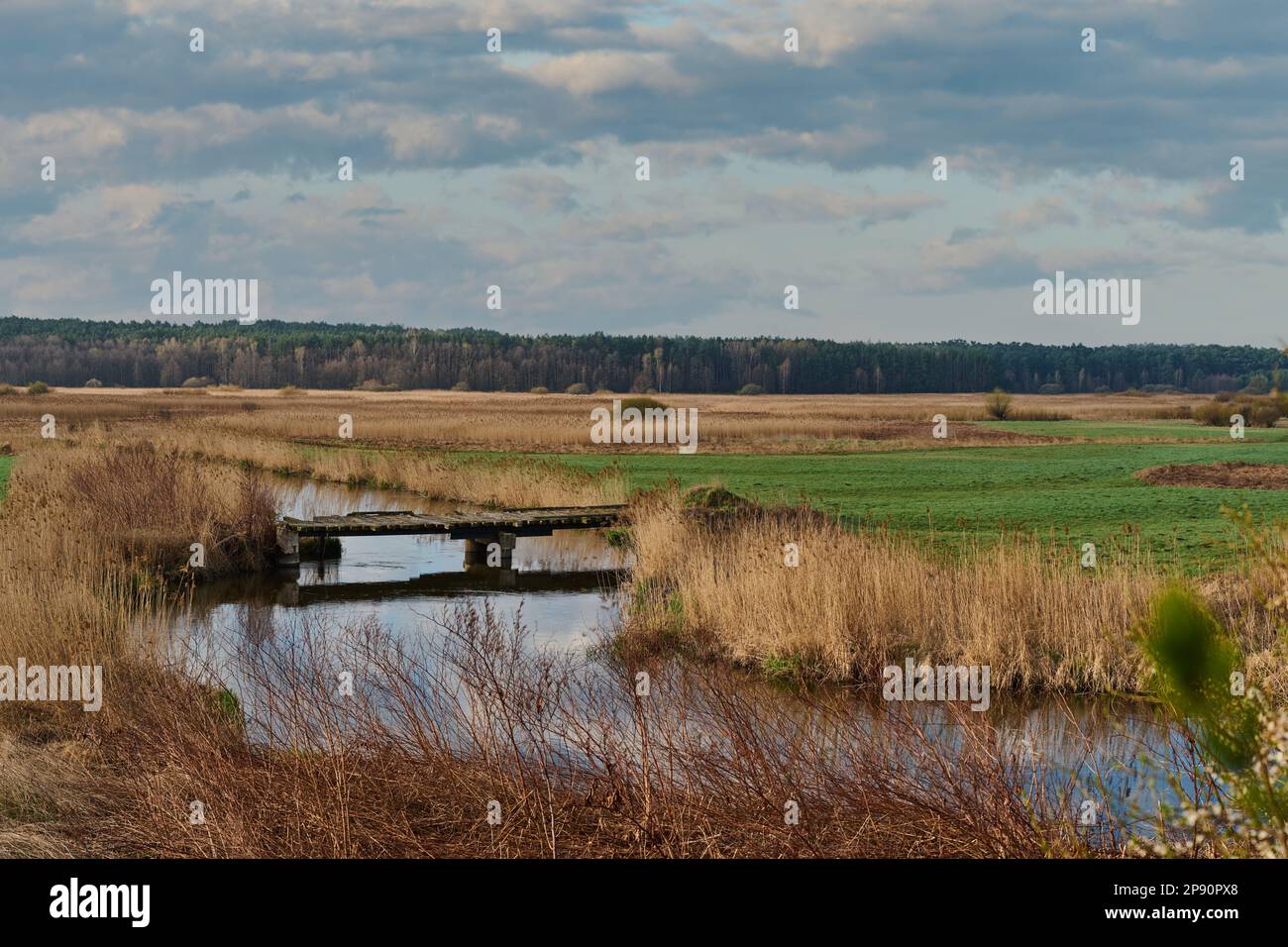 Il ponte sul fiume WIEPRZ vicino alla città di Tarnogóra Foto Stock