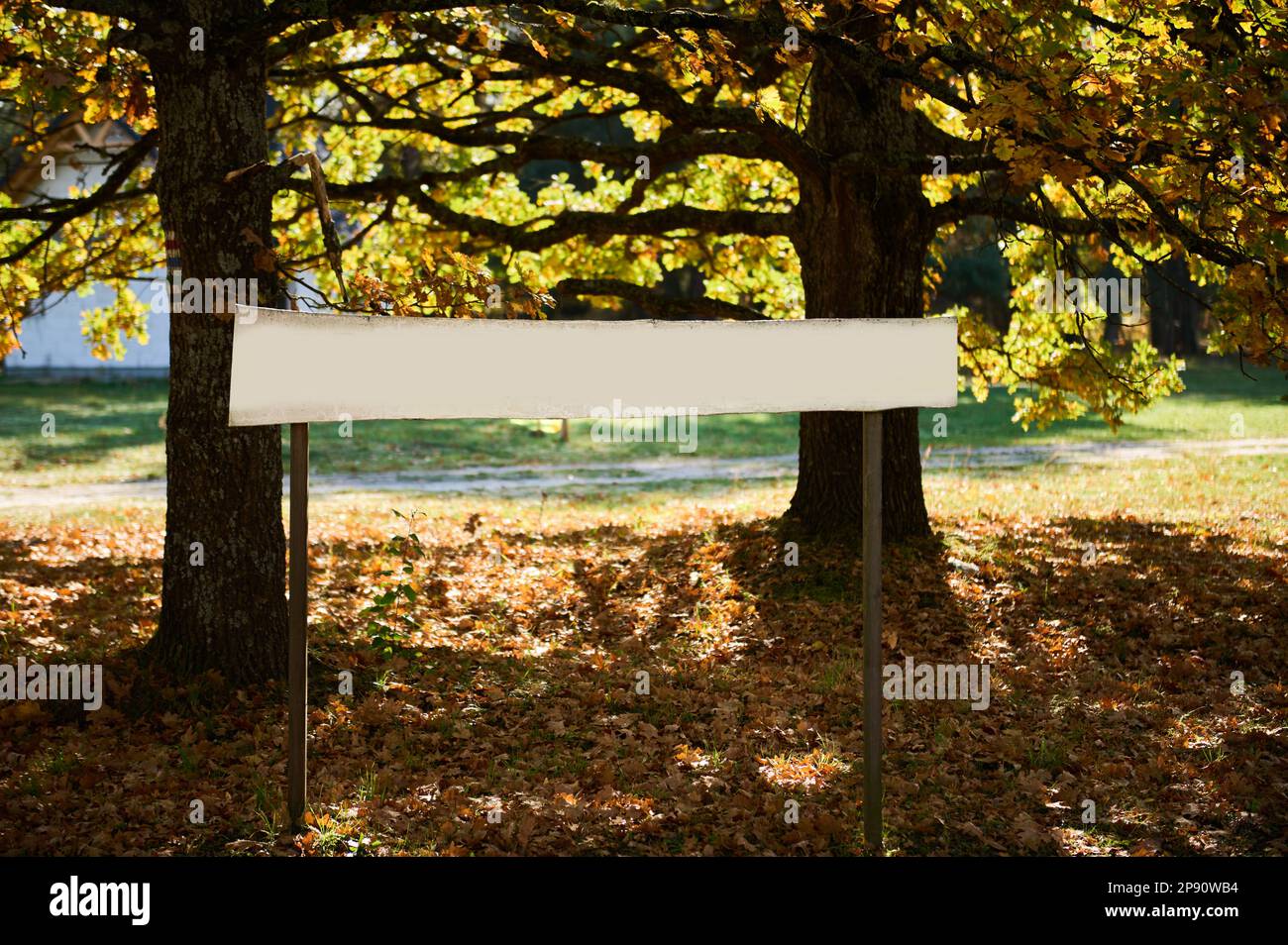 Una bacheca vuota con un posto per inserire un'iscrizione sullo sfondo degli alberi Foto Stock